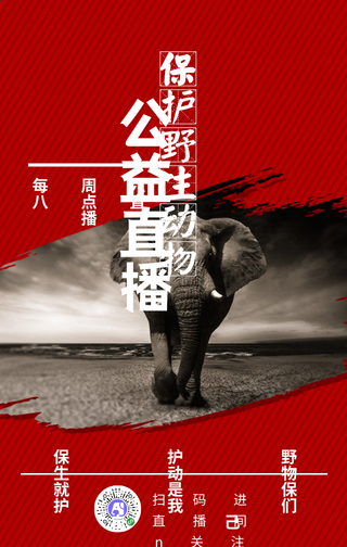 简约保护野生动物公益直播手机海报