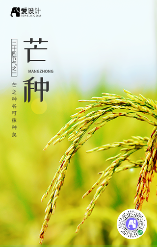 创意文艺清新芒种手机海报