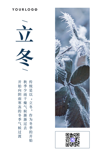 简约清新立冬节气手机海报