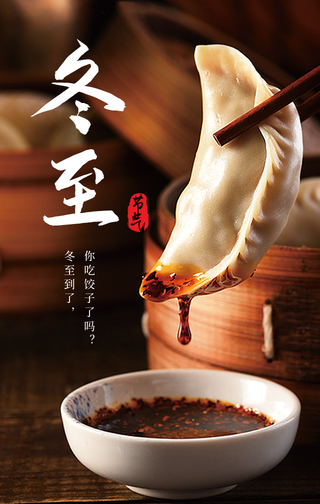 简约质感二十四节气之冬至手机海报