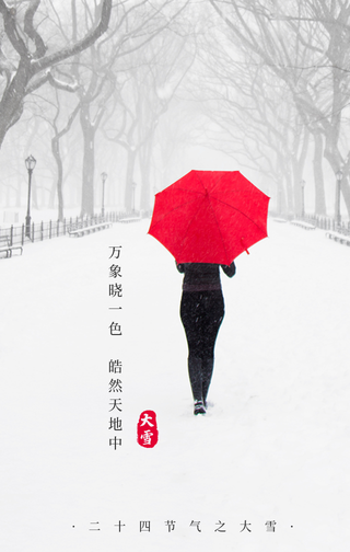 简约质感二十四节气之大雪手机海报