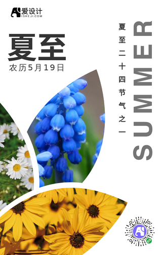 清新文艺创意夏至手机海报