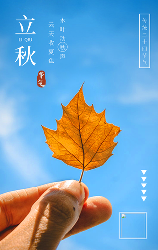 简约创意立秋节气手机海报