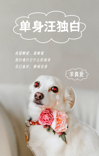 创意趣味光棍节手机海报