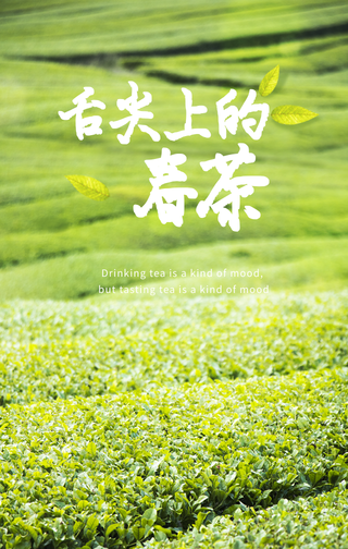 简约清新茶园文化手机海报
