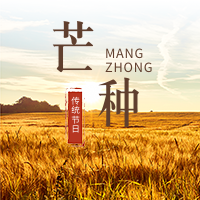 简约扁平芒种时节封面次图