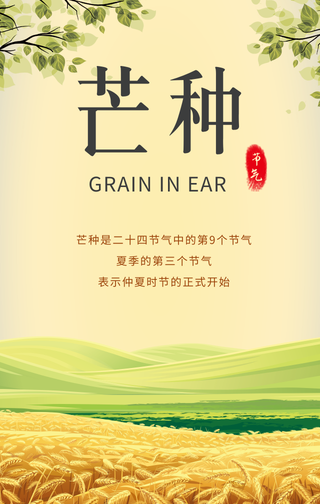 简约扁平芒种时节手机海报