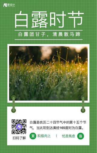白露二十四节气海报