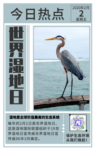 简约清新湿地日手机海报