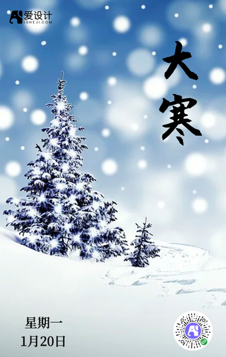 简约中国风24节气大寒寒手机海报