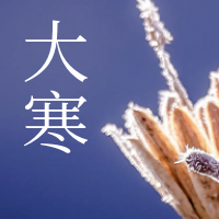 二十四节气大寒公众号封面次图