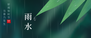 新清唯美二十四节气雨水手机海报