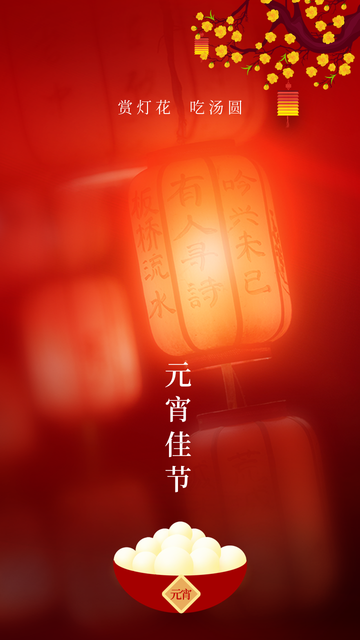 元宵佳节赏灯花吃汤圆电商海报