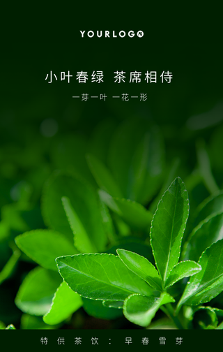早春雪芽小叶春绿茶手机海报