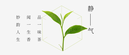 品一味茶闻一生香公众号封面首图