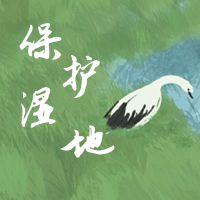 保护湿地世界湿地日公众号封面次图