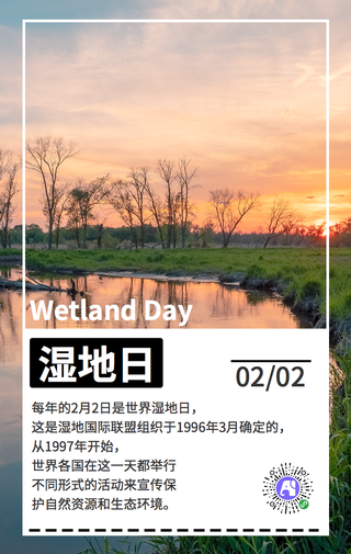 简约湿地日手机海报