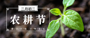 简约大气二月初二农耕节公众号封面首图