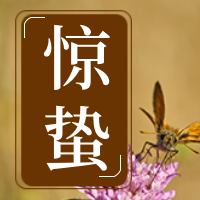 惊蛰公众号封面次图
