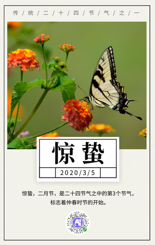 传统节气惊蛰手机海报