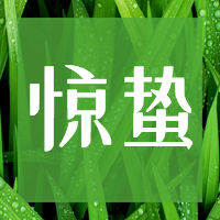 简约清新二十四节气惊蛰公众号封面次图