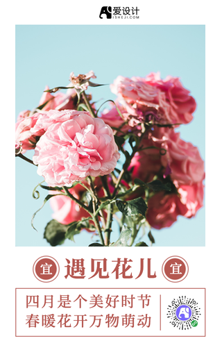 遇见花儿手机海报