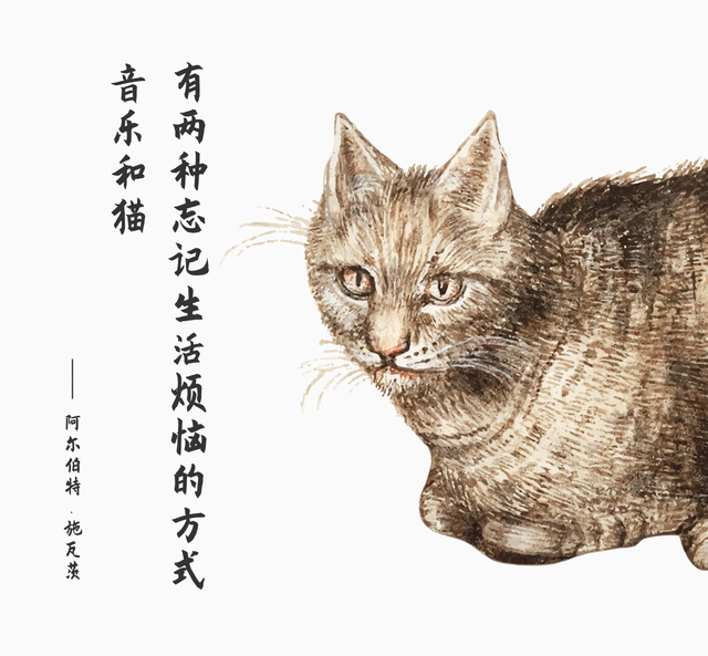 有两种忘掉烦恼的方式猫和音乐朋友圈封面