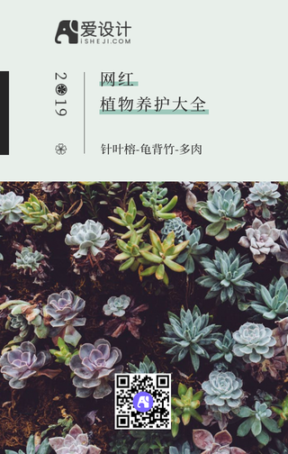 网红植物大全手机海报