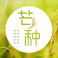 创意文艺清新芒种