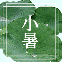 传统二十四节气小暑微信公众好次图