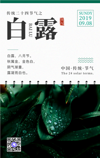 传统二十四节气之白露手机海报
