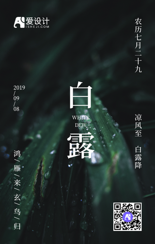 传统二十四节气白露手机海报