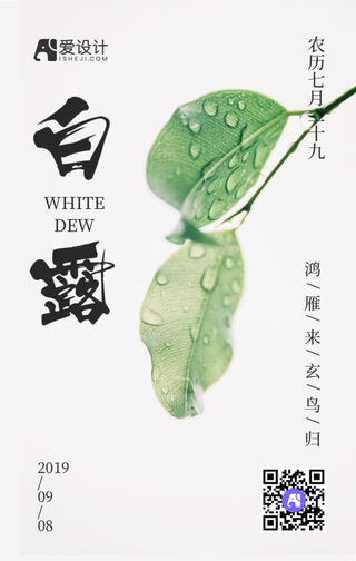 传统二十四节气白露手机海报
