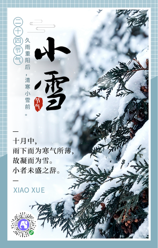 创意文艺小清新二十四节气之小雪手机海报
