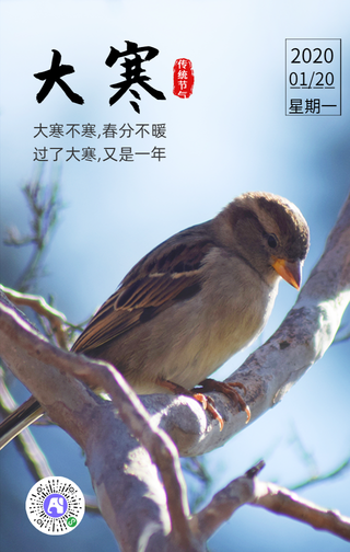 简约大寒传统二十四节气手机海报