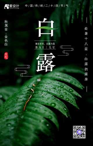 创意文艺二十四节气白露手机海报