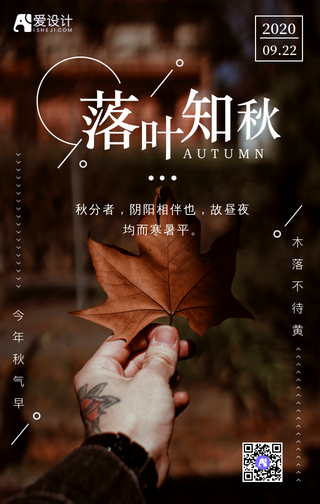 文艺简约24节气秋分海报