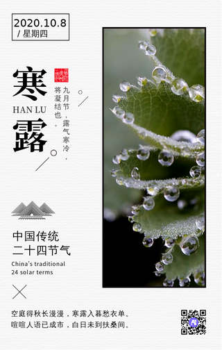 简约中国风二十四节气之寒露手机海报