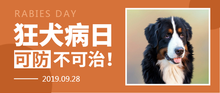 创意几何狂犬病日公益宣传公众号首图