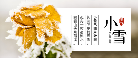 创意文艺简约二十四节气之小雪公众号首图