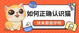 如何正确认识猫公众号封面首图