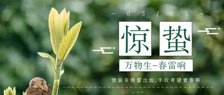 绿色清新惊蛰公众号封面首图
