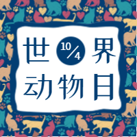 简约蓝色动物印花世界动物日公众号封面次图