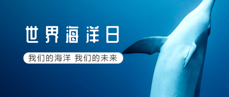 我们的海洋世界海洋日公众号封面首图