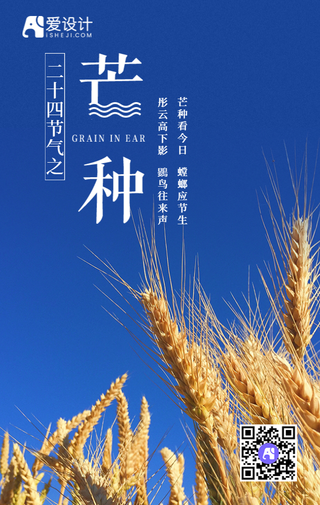 扁平简约芒种手机海报