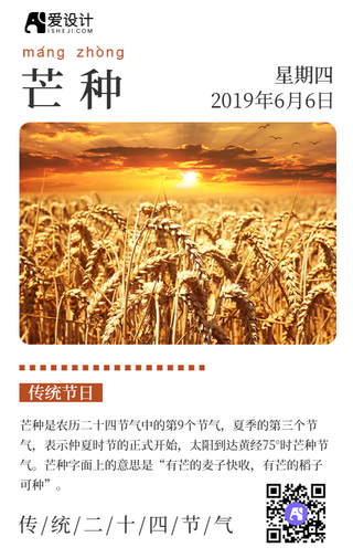 简约文艺清新芒种手机海报