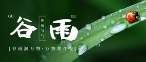 简约文艺清新谷雨微信封面首图