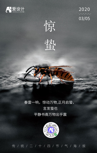 简约惊蛰二十四节气手机海报