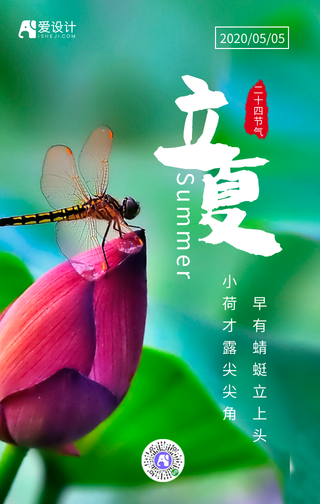 简约立夏手机海报