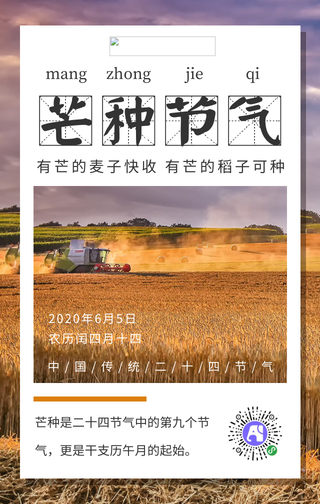 简约芒种手机海报